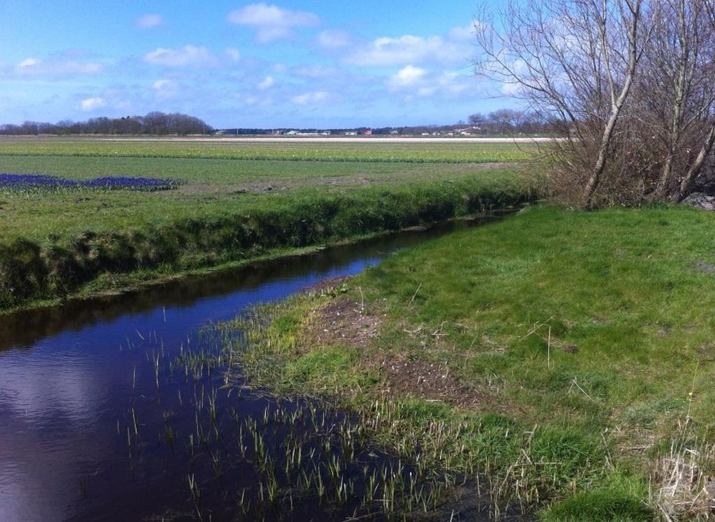 Strand49 Glamping Sint Maartenszee Sint Maartensvlotbrug Екстериор снимка